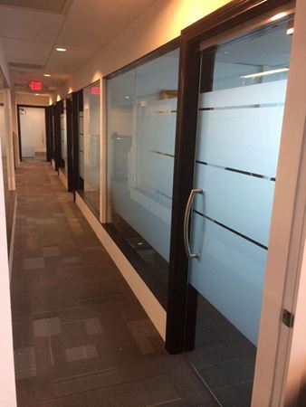 Picture for category COMMERCIAL DOORS