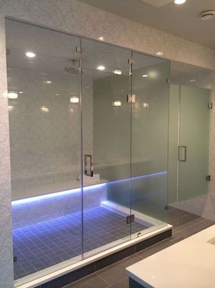 Frameless Steam Shower Door